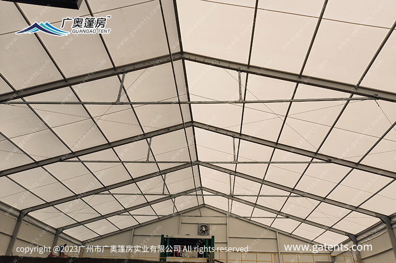 16892416501307418379.jpg IMG_20230628_095031.jpg